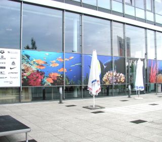 Aussenfolierung Intersport